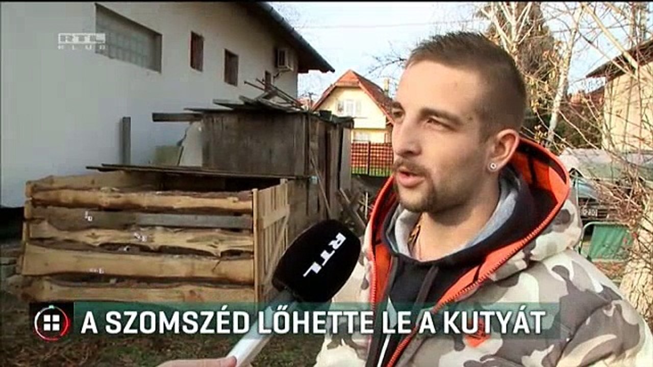 A szomszéd lőhette le a kölyökkutyát