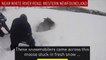 Un élan bloqué sous un monceau de neige sauvé par deux promeneurs