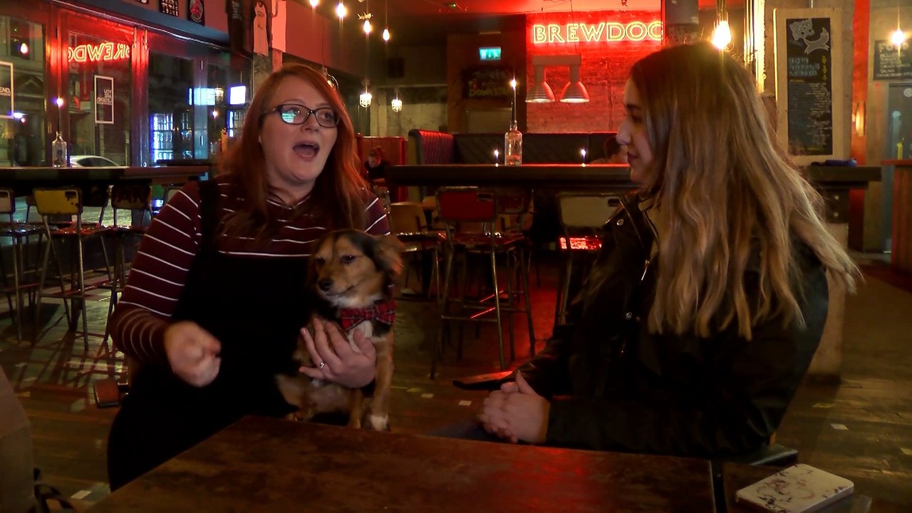 Dog "Furiendly" Website Launches