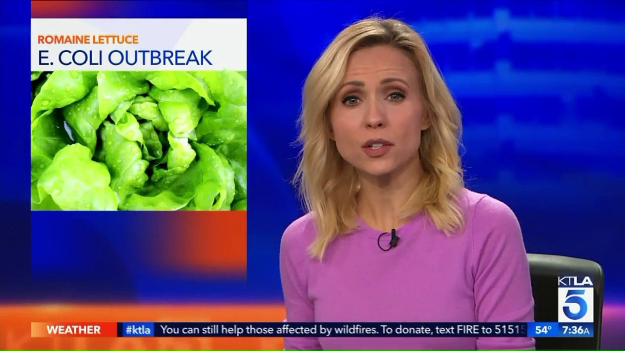 Romaine Lettuce Possibly Linked to E.Coli Outbreak Across 13 States