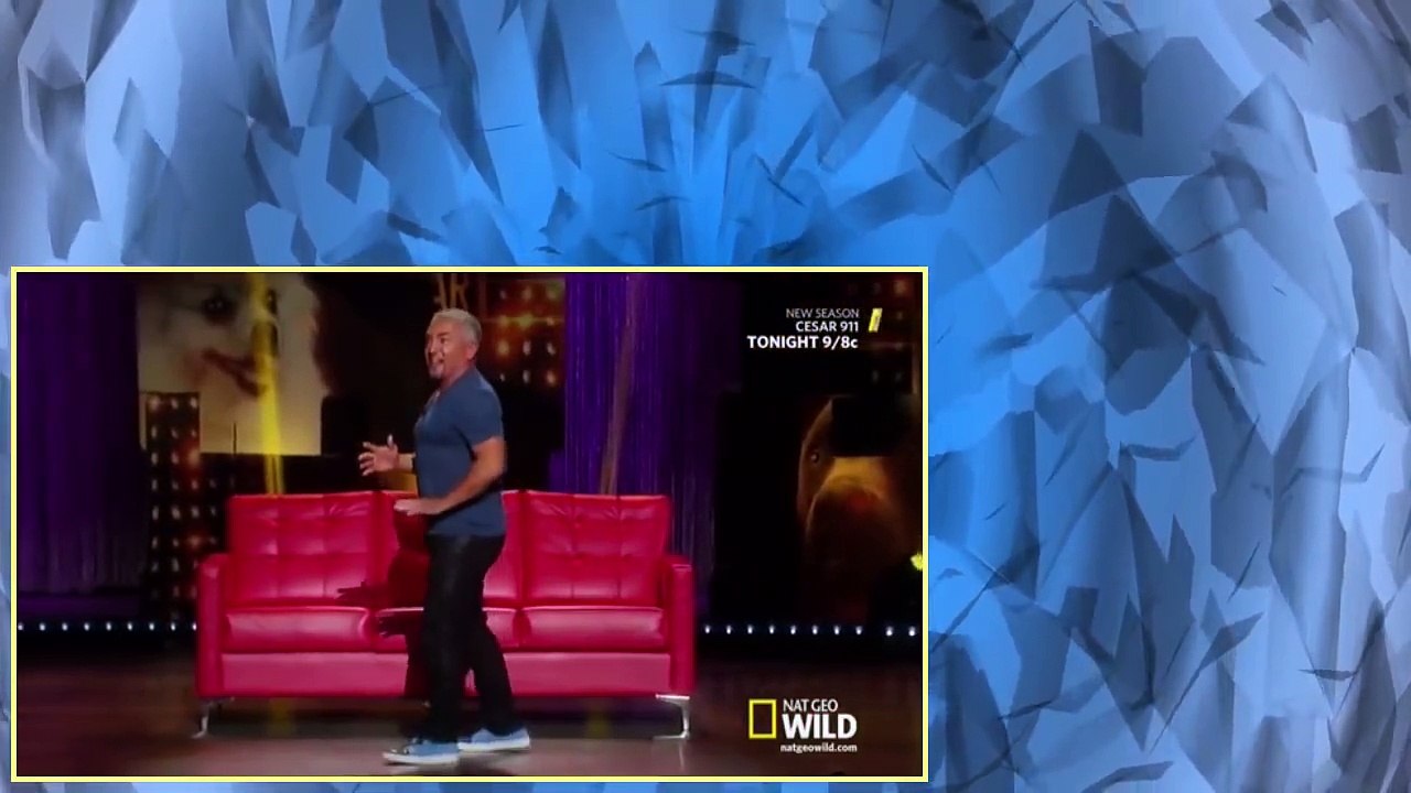 Cesar 911 S02E00 Cesar Millan Viva Las Vegas! part 1/2
