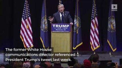 Anthony Scaramucci Defends Trump's Stance on Climate Change