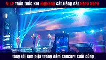 V.I.P thổn thức khi BigBang cất tiếng hát Haru Haru thay lời tạm biệt trong đêm concert cuối cùng
