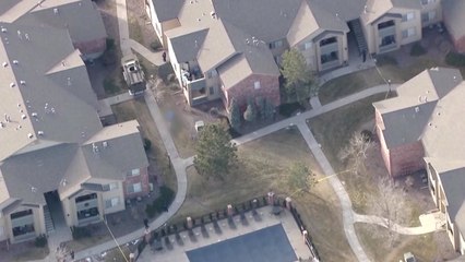 美 아파트단지 총격...경찰관 5명 사상 / YTN