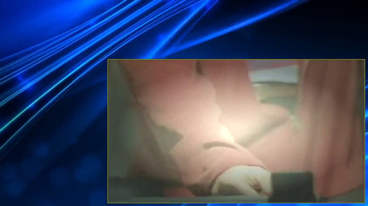 The Pretender S01E19   Jarod S Honor part 1/2