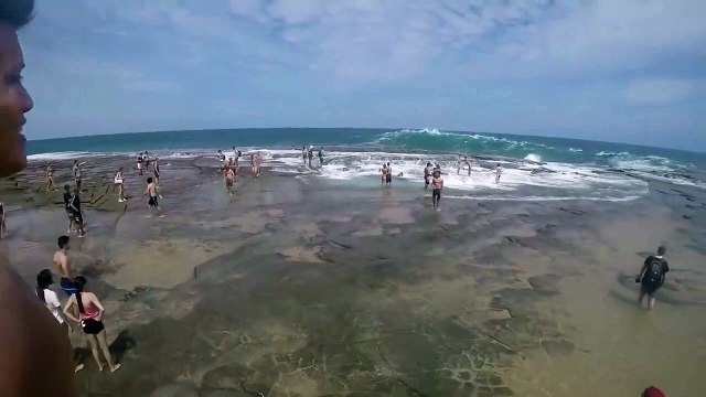 Des dizaines de touristes se font faucher par une énorme vague en Australie