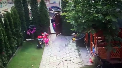 Ce papa héroique va sauver son enfant de justesse alors qu'un chien s'en prend à lui