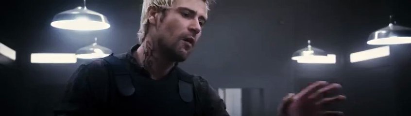 Flypaper   P 02