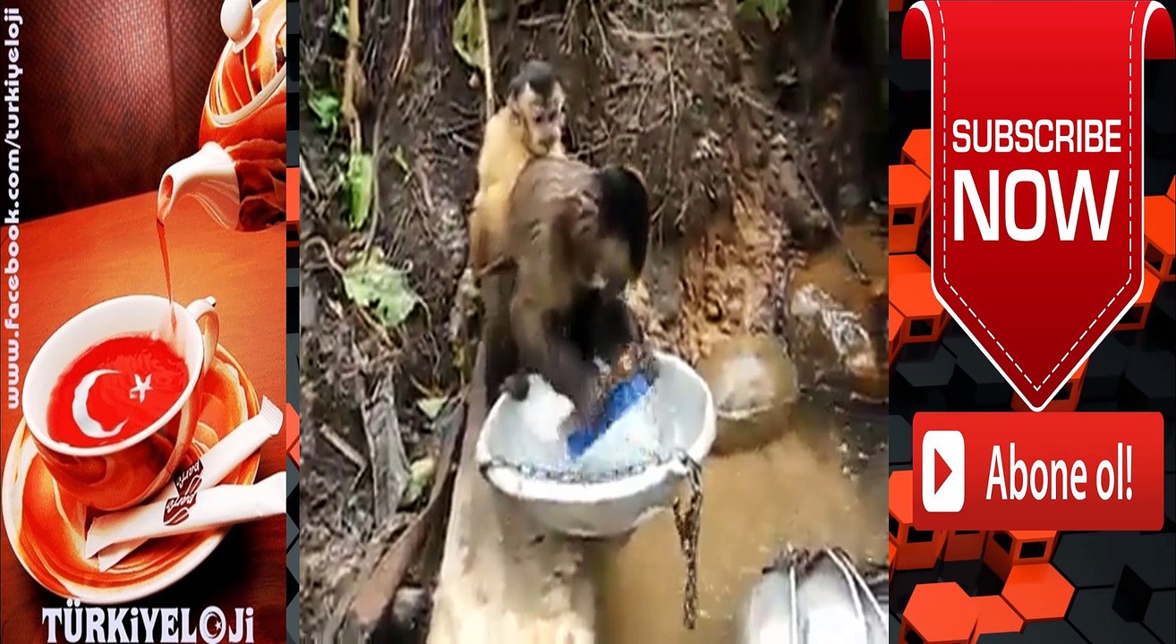 Bu Videoyu Özellikle Pasaklı Ev Hanımları İzlesin :)