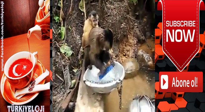 Bu Videoyu Özellikle Pasaklı Ev Hanımları İzlesin :)