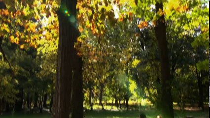 PARIU CU VIATA Sezonul 3 Episodul 10 part 1/2