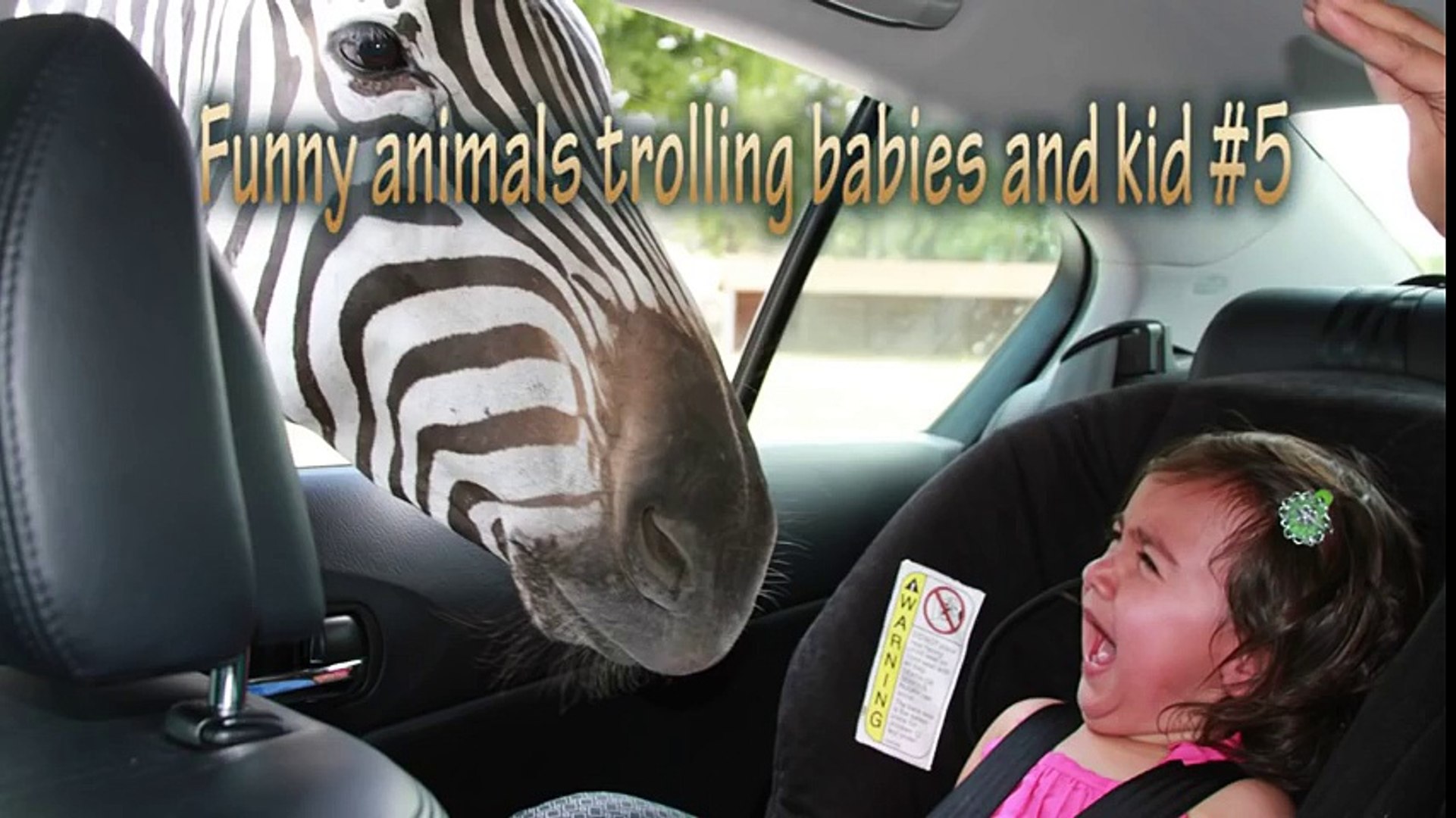 FUNNY Animals Trolling Babies and Kid - Funny Babies and Pets Compilatio