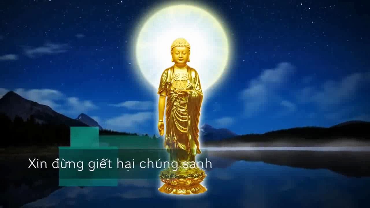 XIN ĐỪNG GIẾT HẠI CHÚNG SANH VÔ TỘI……………  NAM MÔ A DI ĐÀ PHẬT