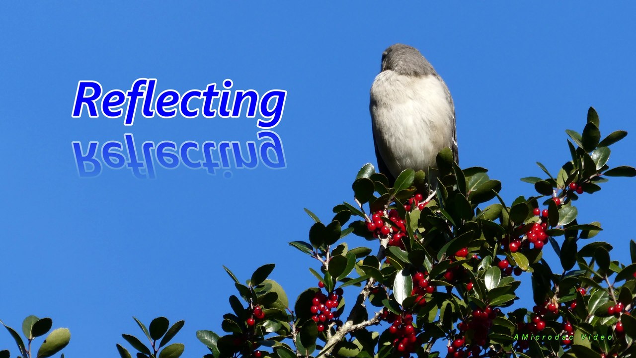 Private Video: Resolution and Reflections