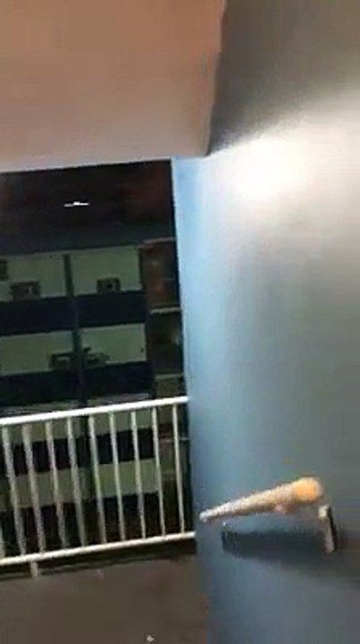 momentos de terror