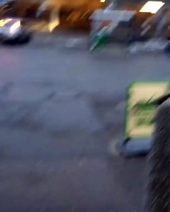 S2E1: Wednesday 02.03.16 - 16.48 Insta video
