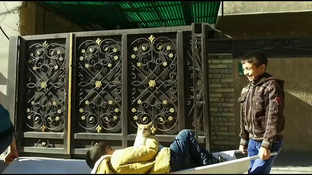 Doctor Jojo HD