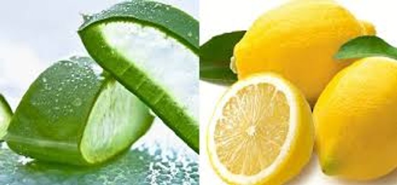 Get healthy glowing skin winter special Aloe vera and almond oil