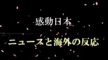 【海外の反応】映画「君の名は。」が日本の高齢者に支持されている理由に外国人が感動!!