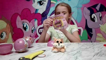 Surprizamals# Классные капсылы сюрприз плюшевые игрушки Сабака Бади,Медведь таптунчик,Кошка Перси