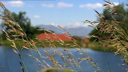 The Human Zoo- Sciences Dirty Little Secret 2009 Channel 4