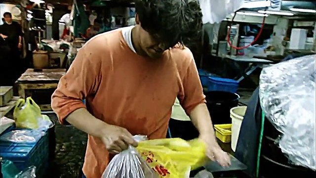 The Mystery of Eels (PBS Nature)