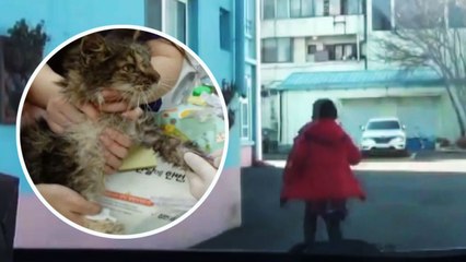 [좋은뉴스] 동물구조단체에 걸려온 다급한 전화 / YTN