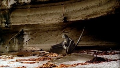 Walking With Dinosaurs S1 Ep4 Giant of the Skies