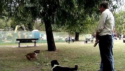 The Brain a Secret History - E 02 Emotions part 1/2