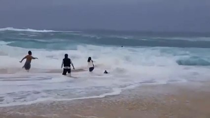 Des enfants se font emporter par une vague.