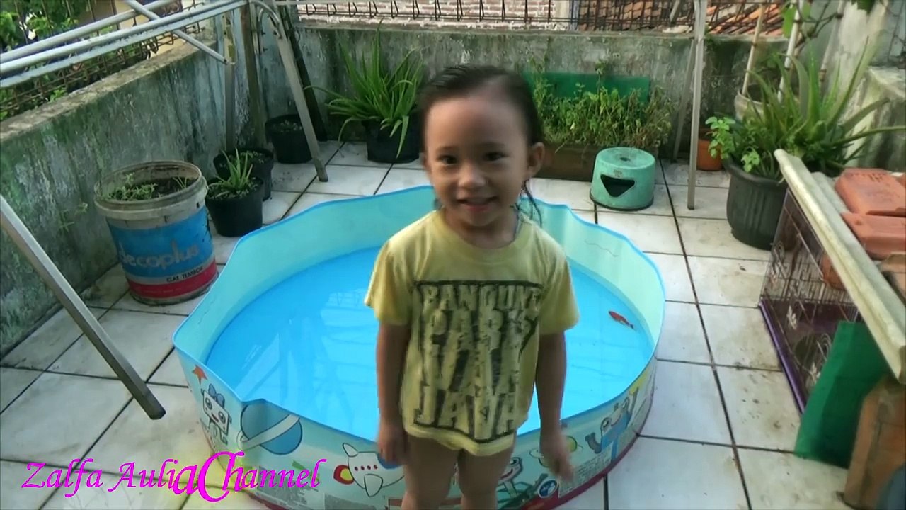 Mandi Sama Ikan Dan Menangkap Ikan Koi Di Kolam Anak