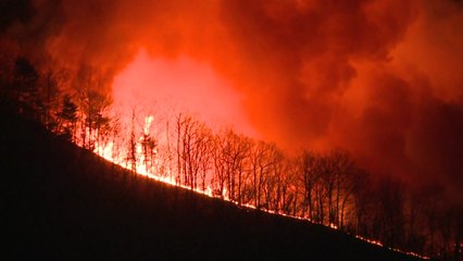 부산 기장 산불에 헬기 투입...본격 진화작업 / YTN