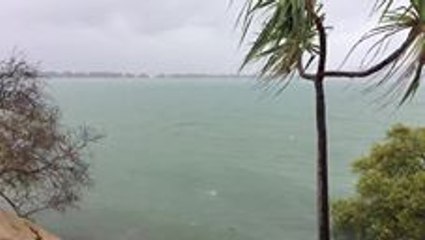 Crocodile Spotted Swimming at Popular Townsville Beach