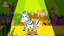 Zebra Cadabra _ Zebra _ Animal Song