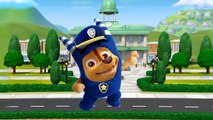 ⚡ Baby Learn Colors with Paw Patrol Transforms Into Oddbods _ Learning Videos for Kids-dkoOe30g