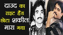 Dawood Ibrahim के Right Hand Chota Shakeel की हुई मौत | वनइंडिया हिंदी