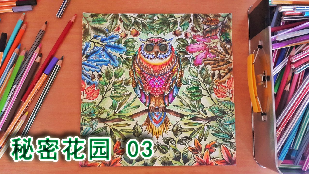 秘密花园03 新手区域
