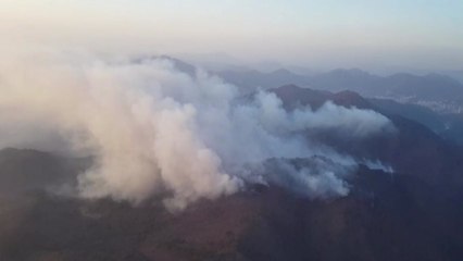 부산 기장 산불, 큰 불길 대부분 잡혀 / YTN