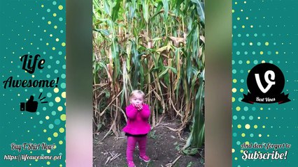 TRY NOT TO LAUGH or GRIN- Funny Kids Fails Compilation - Best Funny Baby Fails