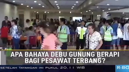 Gimana Lucunya Burung Kakatua Menggonggong On The Spot Trans 7 | Mistery Unik