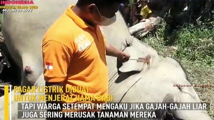 GINI AKIBATNYA KALO KITA BUANG SAMPAH SEMBARANGAN On The Spot Trans 7 | Mistery Unik