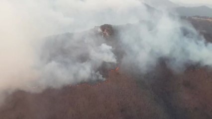 부산 기장 산불, 큰 불길은 대부분 잡혔지만... / YTN