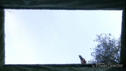 Emmerdale - Robert Sugdens Groundhog Day/A Christmas Day Nightmare (Part 5) (25th December 2017)