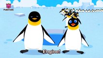 Waddle Emperor Penguin _ Penguin _ Animal Songs _ Pinkfong Songs for C