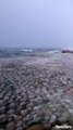 Quand le lac Michigan se retrouve couvert des milliers de boules de glace