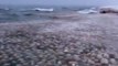 Quand le lac Michigan se retrouve couvert des milliers de boules de glace