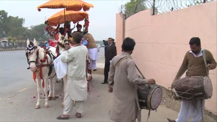 هذا الصباح- عربات الخيول تعود لحفلات الأفراح بباكستان