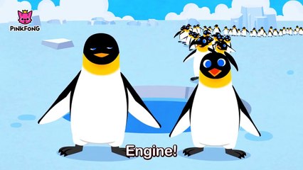 Waddle Emperor Penguin _ Penguin _ Animal Songs _ Pinkfong Songs for