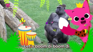 Boom Di Boom Di Gorilla _ Gorilla _ Animal Songs _ Pinkfong Songs for