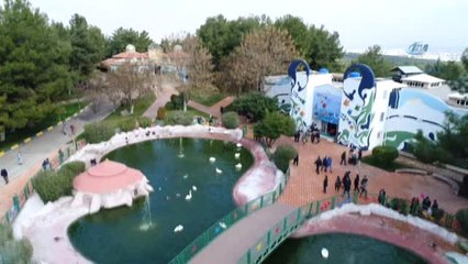 Cumhurbaşkanı Erdoğan'a Hediye Edilen Aslanların Kalacağı Yer Havadan Görüntülendi